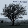 Damian O'Neill - An Crann (Limited Edition) (LP)
