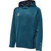 Hummel Cima Xk Hoodie Kids 211577-7058