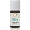 HANUS HANUS Hanus Eukalyptus silica 10ml