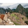 Diamondi Diamantové maľovanie - LAMA A MACHU PICCHU Rámovanie: vypnuté plátno na rám, Rozmer: 40x50 cm
