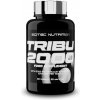 Tribu 2000 90 tabliet - Scitec Nutrition