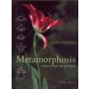 Metamorphosis: Evolution in Action (Suchantke Andreas)