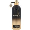 Montale Paris Spicy Aoudu unisex parfumovaná voda 100 ml