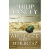 Where Is God When It Hurts? (Philip Yancey)(Brožovaná)