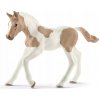 Schleich Hříbě plemene Paint Horse
