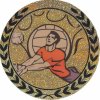 AGM117 - Emblém hologram volejbal (pr.25mm)
