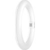 LEDVANCE Kruhová LED žiarivka T9 G10Q 11W (náhrada 22W) 6500K 1320lm LEDTUBE T9C EM V 22 11W 865 G10Q 4099854042485