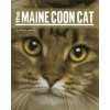 Maine Coon Cat (Liza Gardner Walsh)(Brožovaná)