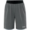 ! ! Craft Progress Reversible Basket SHORTS