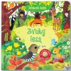 Zvuky lesa | Taplin Sam