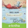 E-kniha Srdce a Hlava - Nishi Singhal