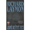 Jedné deštivé noci - Richard Laymon