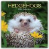 Hedgehogs Igel 16 Monats 2026