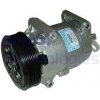 DELPHI Kompresor, klimatizace TSP0155355