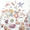 Beachcombers Companion 1000 dielov With Shaped Pieces McMenemy Sarah