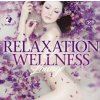 Various - Relaxation & Wellness Lounge / 2CD [2 CD]