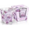 Sviečka Orchid Phalaenopsis 115g Bartek