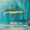 Salmo Minnow M7F Yamame Ayu 7 cm 6 g Salmo