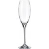 Crystalite Bohemia poháre na šampanské Carduelis 2 x 290 ml