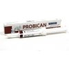 Chr. Hansen Hansen Probican pasta 15 ml