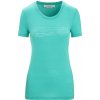 Icebreaker W TECH LITE II SS TEE SKI STRIPES Lady