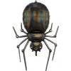 Fóliový balón čierny pavúk 60 x 101 cm - PartyDeco - PartyDeco