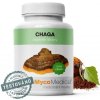 MycoMedica Chaga 90 kapsúl