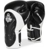 Boxerské rukavice DBX BUSHIDO BB5 Veľkosť: 12oz