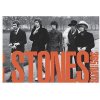 Rolling Stones 365 Days