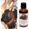 Herbarium Projekt Čaga, tinktúra z brezovej huby, 50ml