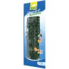 Tetra - Hygrophila 15cm-rastlina plast.S