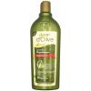 Dalan d Olive Color Protection s olivovým olejom šampón na farbené vlasy 400 ml