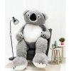 Veľká Plyšová Koala TimiToy 220cm bielo sivá XXL