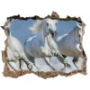 Fototapeta díra na zeď Cválajúca kone 95x64 cm