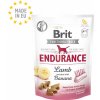 Brit Snack Endurance Lamb and banana 150g