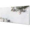 Obraz na akrylátovom skle Vetvičky šišky 100x50 cm