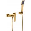 Imex ART nástenná sprchová batéria + sprchový set kartáčované zlato BDAR025-5OC