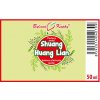 SHUANG HUANG LIAN (Netopýr 0) BRNO