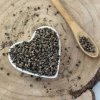 Bioruža Vitex jahňací, Drmek obyčajný - plod celý -Vitex agnus - castus - Agni-casti fructus 1000 g