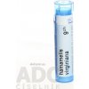 Hamamelis Virginiana gra.1 x 4 g 9CH