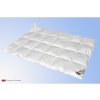 Termop paplón Prémium 200x220 cm celoročný perie/páper