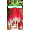 Semienka Reďkovka Slávia (Raphanus sativus)