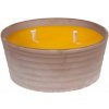 Nohel Garden Sviečka citronELLA SIRIUS 3knoty plus žardinka 420g d