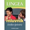 Česko-polský mluvník - Kolektiv autorů