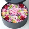 Flower box / kvety v krabici Suvi