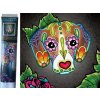 Norimpex 7D Diamantová mozaika Bígl Catrina NO-1006554