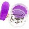 Allepaznokcie Efekt Lumino prášok na nechty svietiaci v tme 09