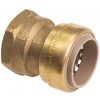 Conex Bänninger PUSH Prechod s vnútorným závitom 22mm x 3/4