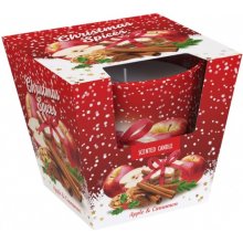 Santo Candles Christmas Spices 115 g