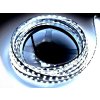 Brolux Led pásik 50m 12V SMD2835 120LED/m 13W/m 6000K Studená biela IP20, BW013560